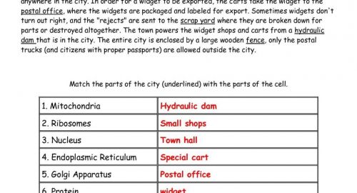 Excellent Cell Analogy Project Answers  Gt82 â Documentaries For
